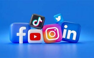 media什么意思,media中文翻译,media用法及例句,media怎么读