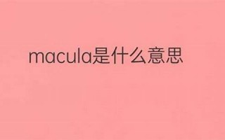 macula什么意思,macula中文翻译,macula用法及例句,macula怎么读