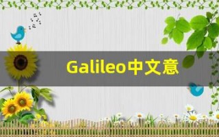 Galileo中文意思,Galileo中文翻译,Galileo用法及例句,Galileo语法