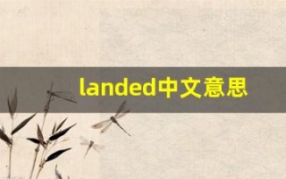 landed中文意思,landed中文翻译,landed用法及例句,landed语法