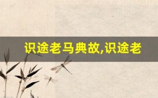识途老马典故,识途老马故事,识途老马是什么意思