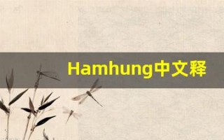 Hamhung中文释义,Hamhung中文翻译,Hamhung造句,Hamhung的发音