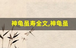神龟虽寿全文,神龟虽寿讲了什么,神龟虽寿经典句子