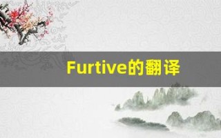 Furtive的翻译,Furtive怎么读,Furtive造句及用法