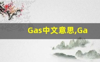 Gas中文意思,Gas中文翻译,Gas用法及例句,Gas语法