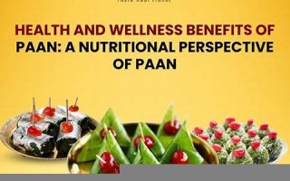 paean什么意思,paean中文翻译,paean用法及例句,paean怎么读