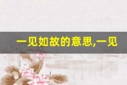 一见如故的意思,一见如故的近义词反义词,一见如故造句例句,一见如故出处及解释