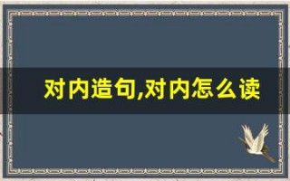 对内造句,对内怎么读,对内的意思,对内的组词