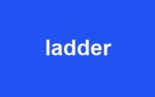 ladder什么意思,ladder中文翻译,ladder用法及例句,ladder怎么读