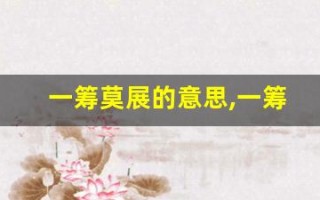 一筹莫展的意思,一筹莫展的近义词反义词,一筹莫展造句例句,一筹莫展出处及解释