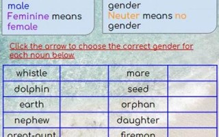 gender怎么读,gender中文翻译,gender什么意思,gender用法及例句