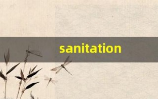 sanitation组词,sanitation中文翻译,sanitation造句,sanitation的发音