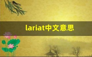 lariat中文意思,lariat中文翻译,lariat用法及例句,lariat语法