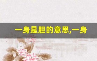一身是胆的意思,一身是胆的近义词反义词,一身是胆造句例句,一身是胆出处及解释
