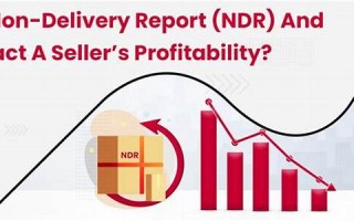 nondelivery什么意思,nondelivery中文翻译,nondelivery用法及例句,nondelivery怎么读
