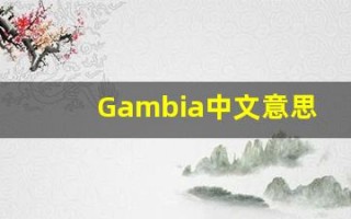 Gambia中文意思,Gambia中文翻译,Gambia用法及例句,Gambia语法