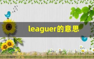 leaguer的意思,leaguer同义词,leaguer用法及例句,leaguer语法