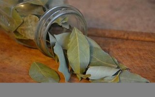 lure什么意思,lure中文翻译,lure用法及例句,lure怎么读