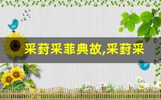 采葑采菲典故,采葑采菲故事,采葑采菲是什么意思