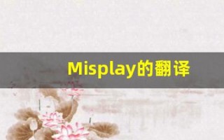 Misplay的翻译,Misplay怎么读,Misplay造句及用法