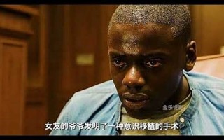 Negro什么意思,Negro中文翻译,Negro用法及例句,Negro怎么读