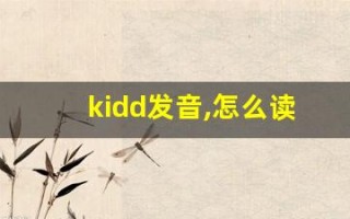 kidd发音,怎么读,kidd什么意思,kidd例句用法