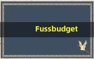 Fussbudget的翻译,Fussbudget怎么读,Fussbudget造句及用法