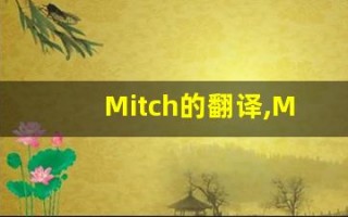 Mitch的翻译,Mitch怎么读,Mitch造句及用法