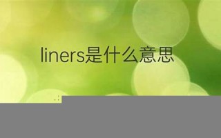 liner什么意思,liner中文翻译,liner用法及例句,liner怎么读