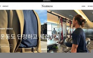 neatness什么意思,neatness中文翻译,neatness用法及例句,neatness怎么读