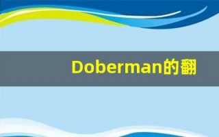 Doberman的翻译,Doberman怎么读,Doberman造句及用法