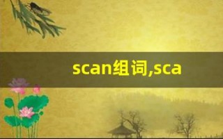 scan组词,scan中文翻译,scan造句,scan的发音