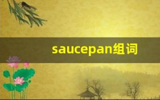 saucepan组词,saucepan中文翻译,saucepan造句,saucepan的发音