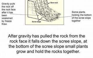 Scree,用法及例句,Scree,中文翻译,Scree,发音,Scree,怎么读(scares用英语怎么说)