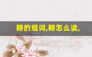 鞯的组词,鞯怎么读,鞯的意思,鞯的拼音