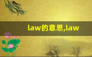 law的意思,law同义词,law用法及例句,law语法