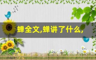 蝉全文,蝉讲了什么,蝉经典句子