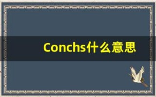 Conchs什么意思,Conchs用法,Conchs的发音,Conchs翻译