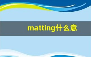 matting什么意思,matting用法,matting造句