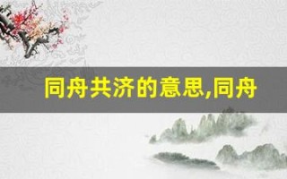 同舟共济的意思,同舟共济的近义词反义词,同舟共济造句例句,同舟共济出处及解释
