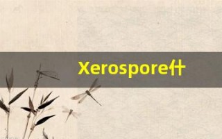 Xerospore什么意思,Xerospore用法,Xerospore造句,Xerospore的发音