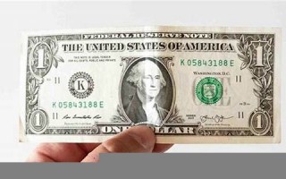 dollar怎么读,dollar中文翻译,dollar什么意思,dollar用法及例句