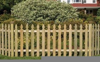 fence中文翻译fence发音fence用法及例句fence是什么意思