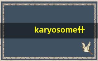 karyosome什么意思,karyosome造句用法,karyosome的发音,karyosome中文翻译