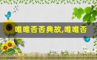 唯唯否否典故,唯唯否否故事,唯唯否否是什么意思