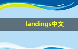 landings中文意思,landings中文翻译,landings用法及例句,landings语法