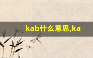 kab什么意思,kab造句用法,kab的发音,kab中文翻译