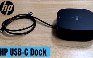 dock怎么读,dock中文翻译,dock什么意思,dock用法及例句