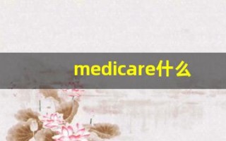 medicare什么意思,medicare用法,medicare造句
