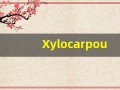 Xylocarpous什么意思,Xylocarpous用法,Xylocarpous造句,Xylocarpous的发音
